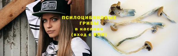 mdpv Баксан